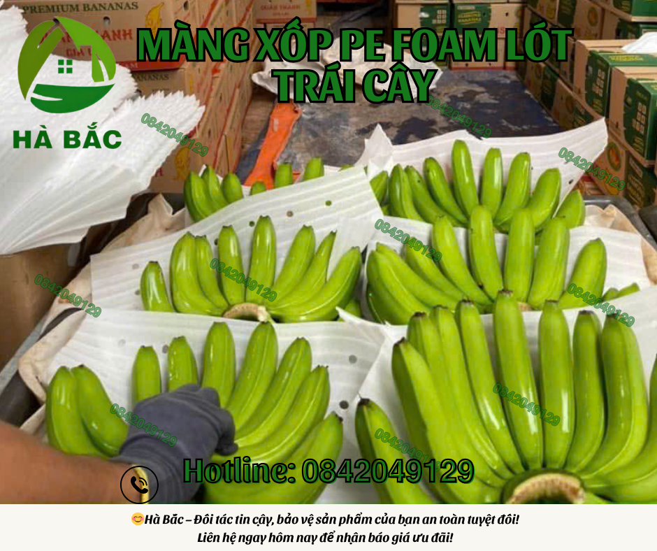 mang-xop-pe-foam