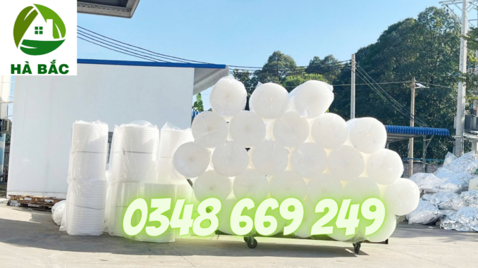 Mang-foam