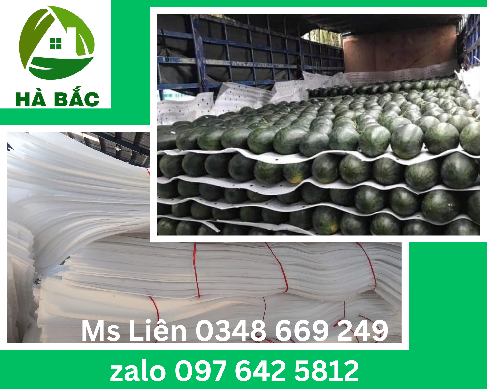 Mang-foam-5mm-duc-lot-dua-hau