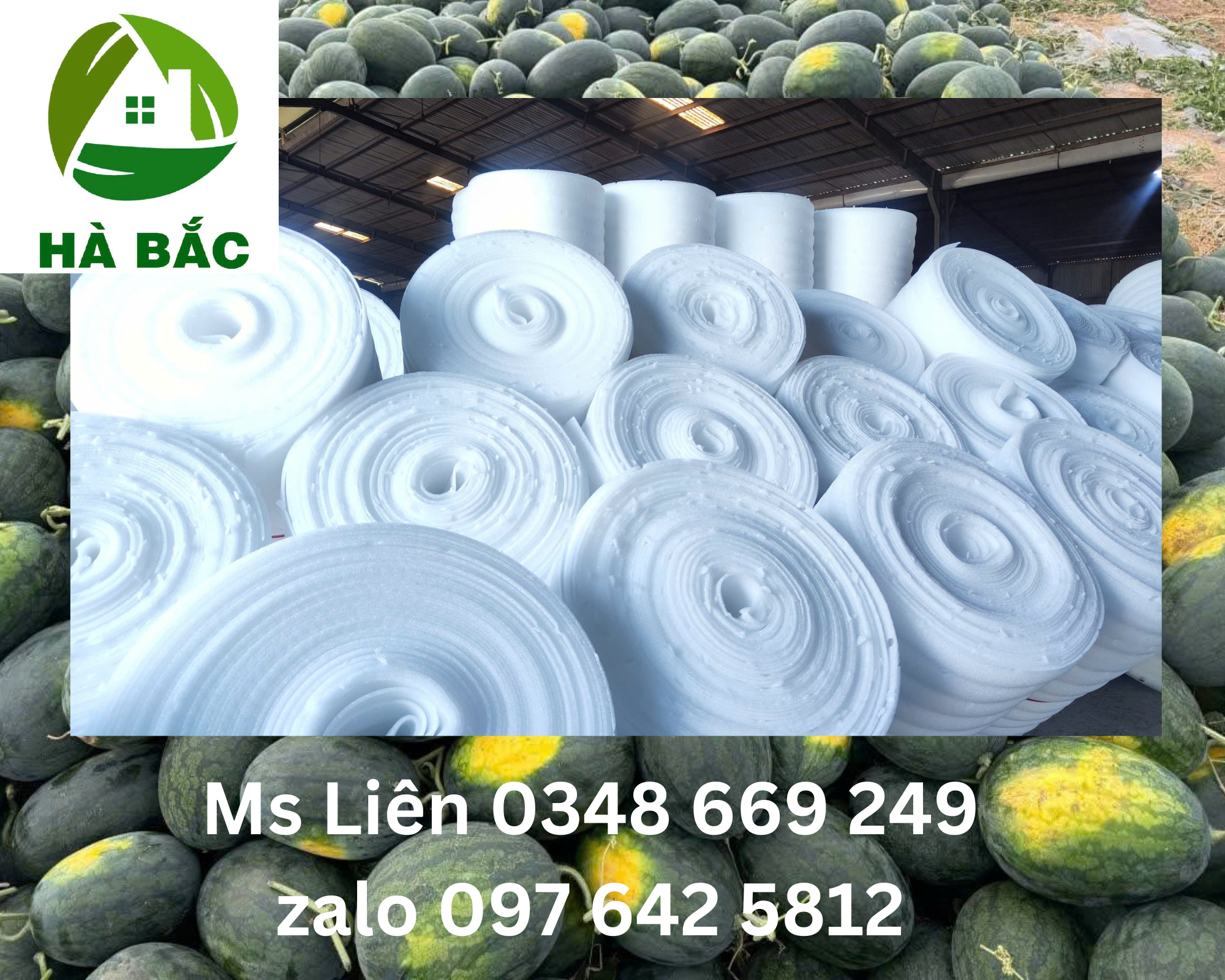 Mang-foam-5mm-duc-lot-dua-hau