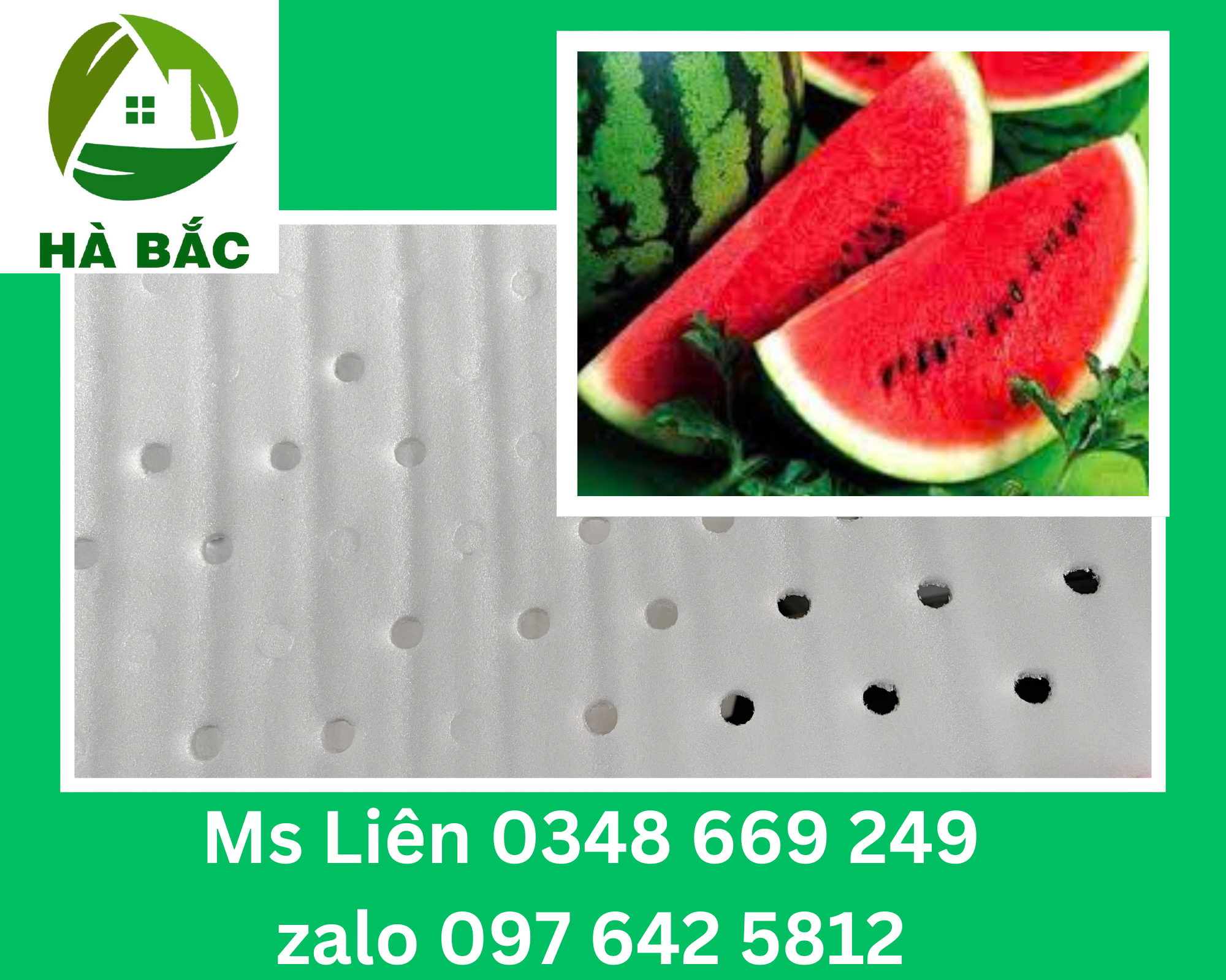 Mang-foam-5mm-duc-lot-dua-hau