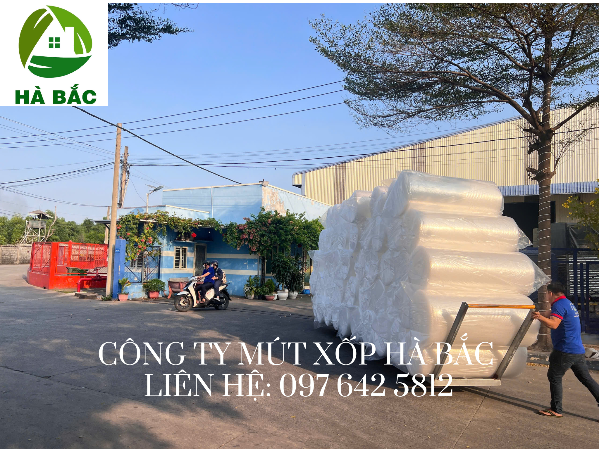 Xop-hoi-boc-hang
