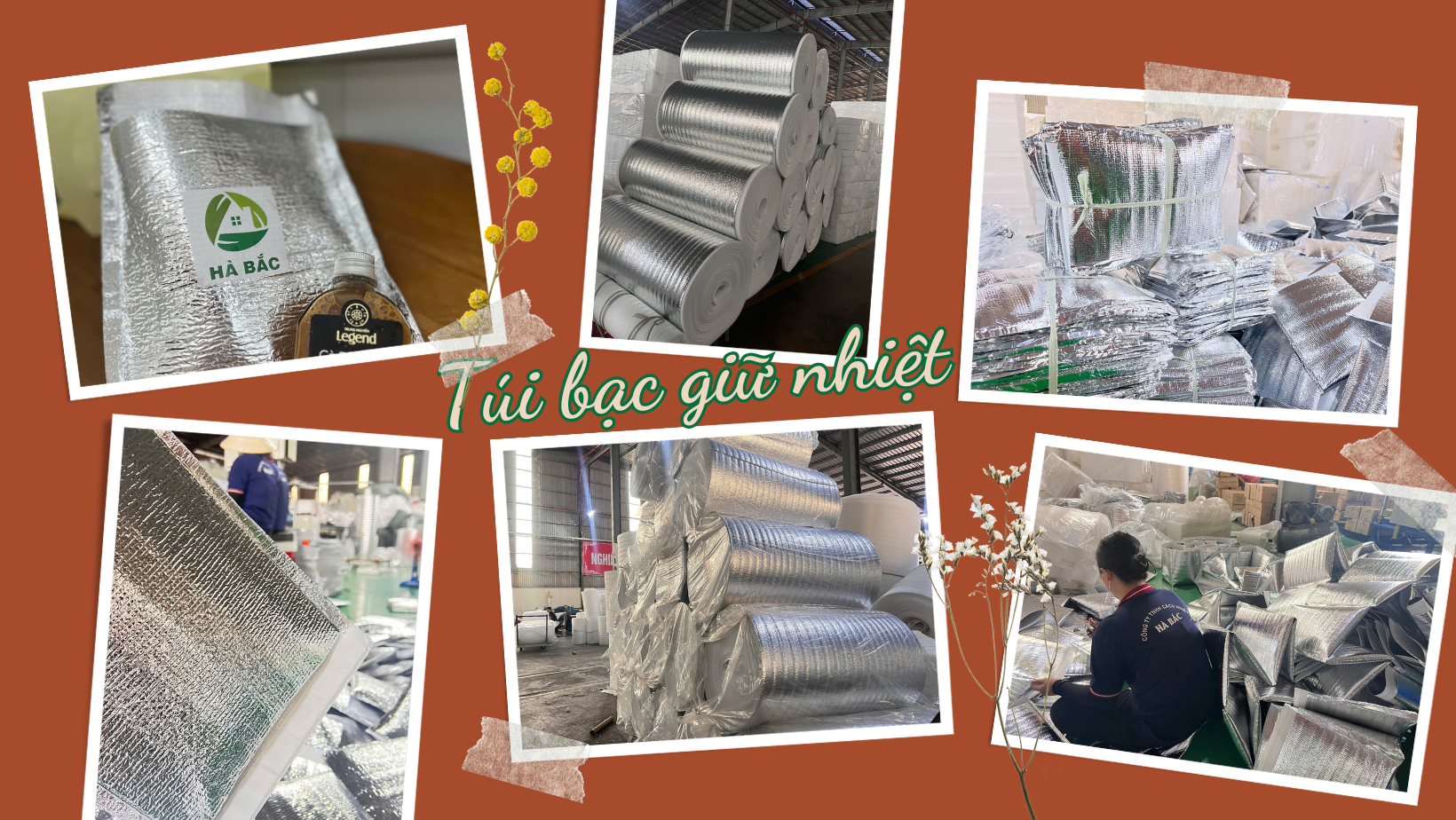 Tui-xop-bac-gia-re