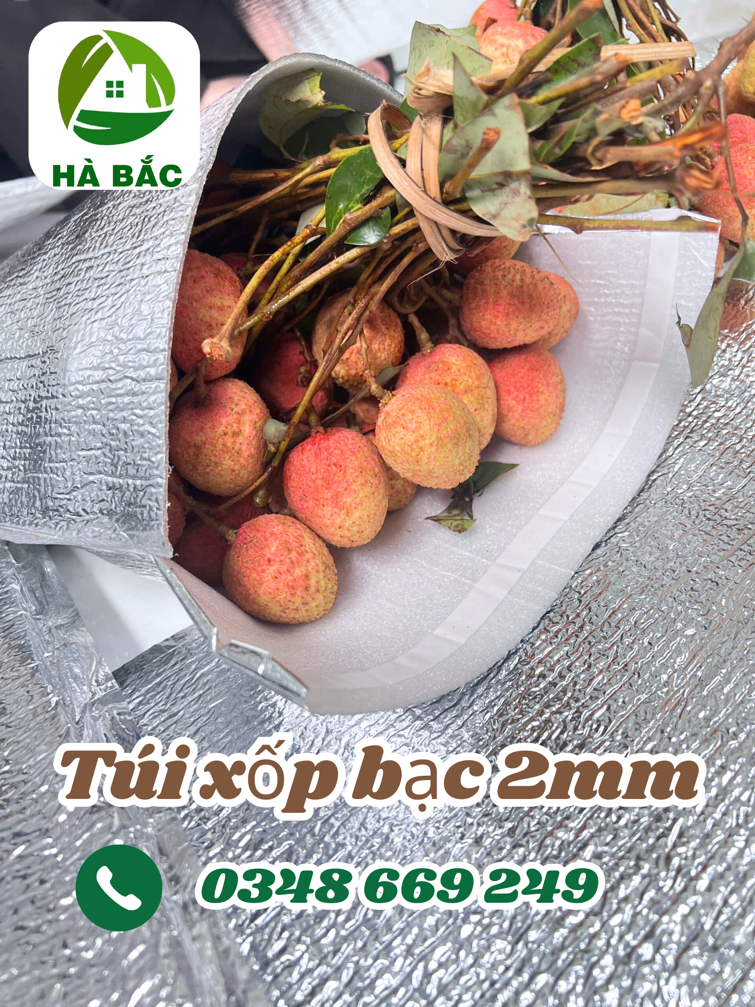 tui-xop-bac-giu-nhiet