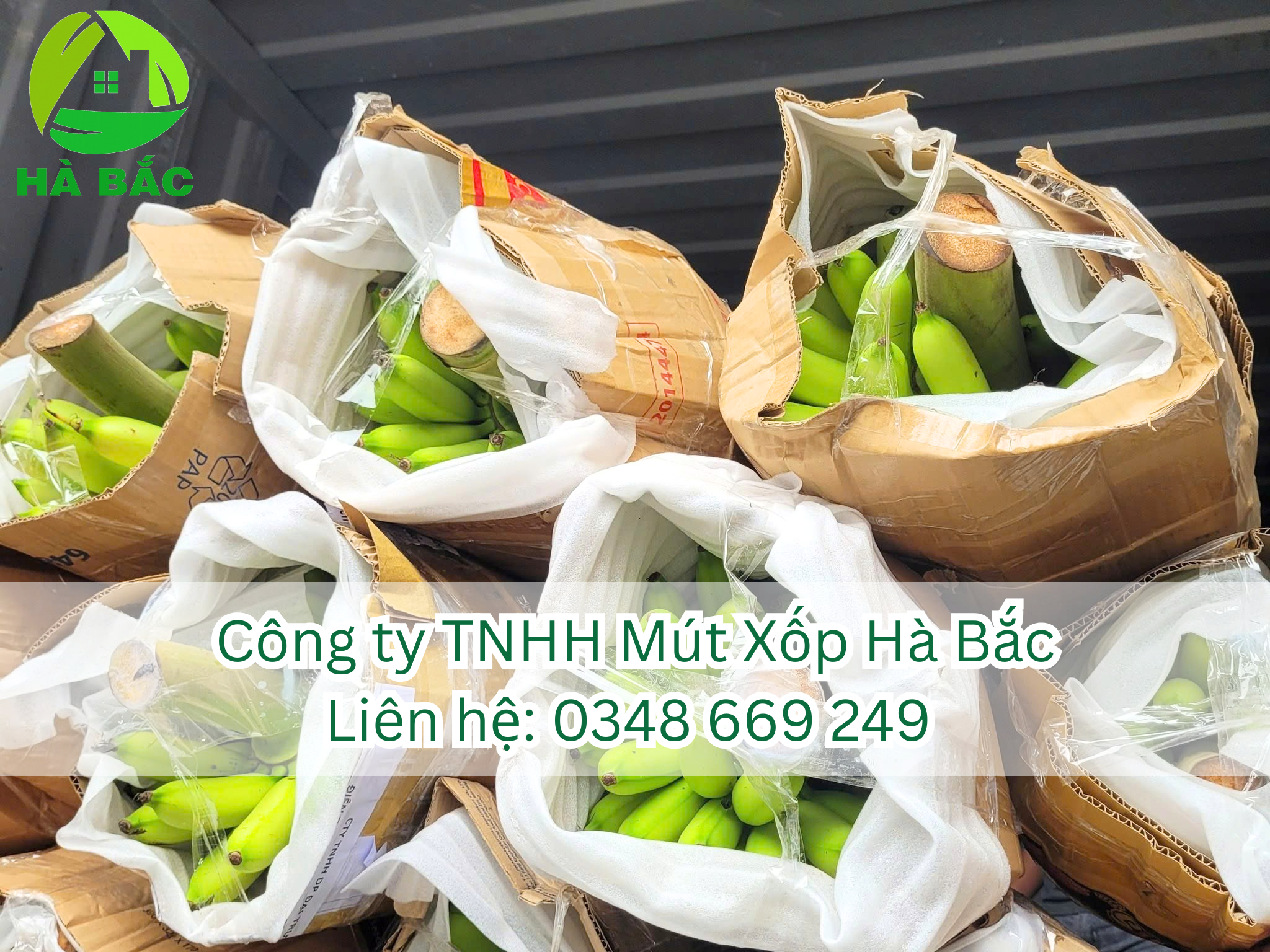 mang-pe-foam-dang-cuon-1mm-tai-binh-dinh