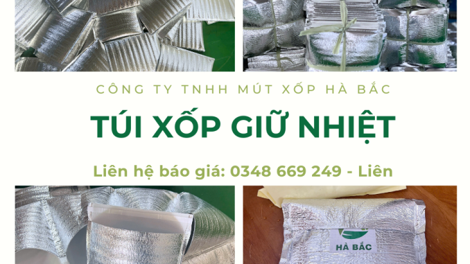 tui-giu-nhiet-thuc-pham-1-lop-bac-gia-re