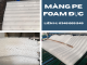 mang-pe-foam-duc-lo