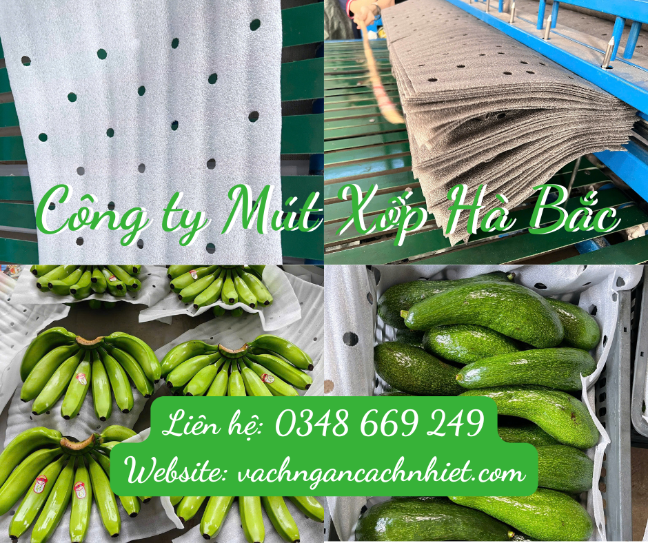 xop-tam-duc-lo-lot-nong-san-tai-binh-dinh