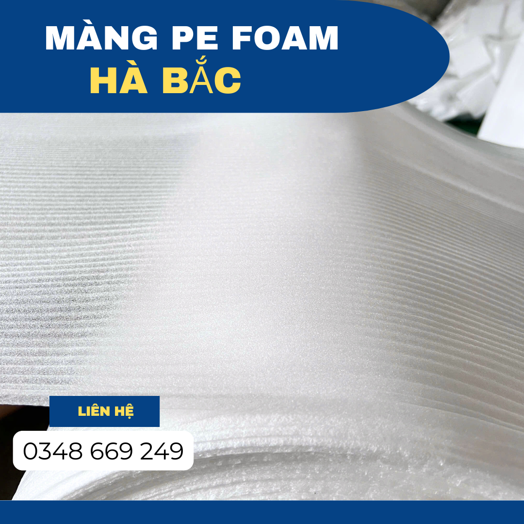 mang-pe-foam-gia-re-nam-2026-tai-binh-dinh