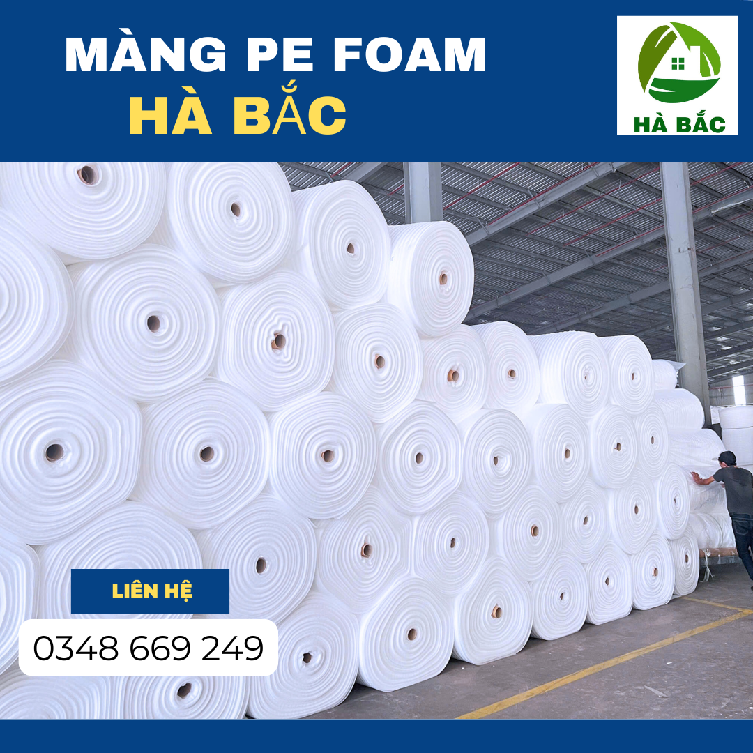 mang-pe-foam-gia-re-nam-2026-tai-binh-dinh