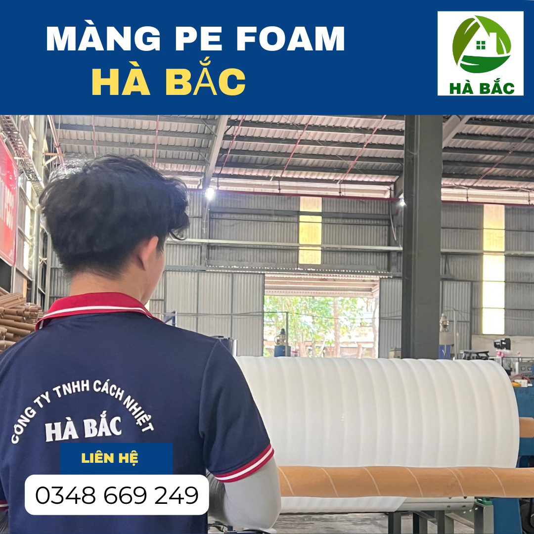 mang-pe-foam-gia-re-nam-2026-tai-binh-dinh