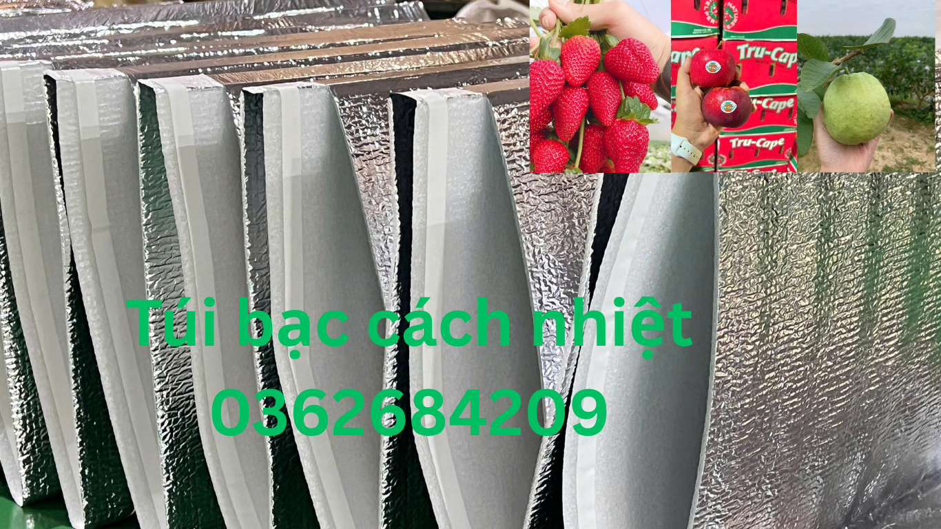 Túi bạc cách nhiệt đựng thực phẩm tại Bình Định