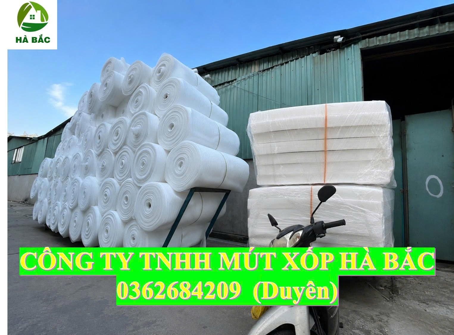 Màng foam PE