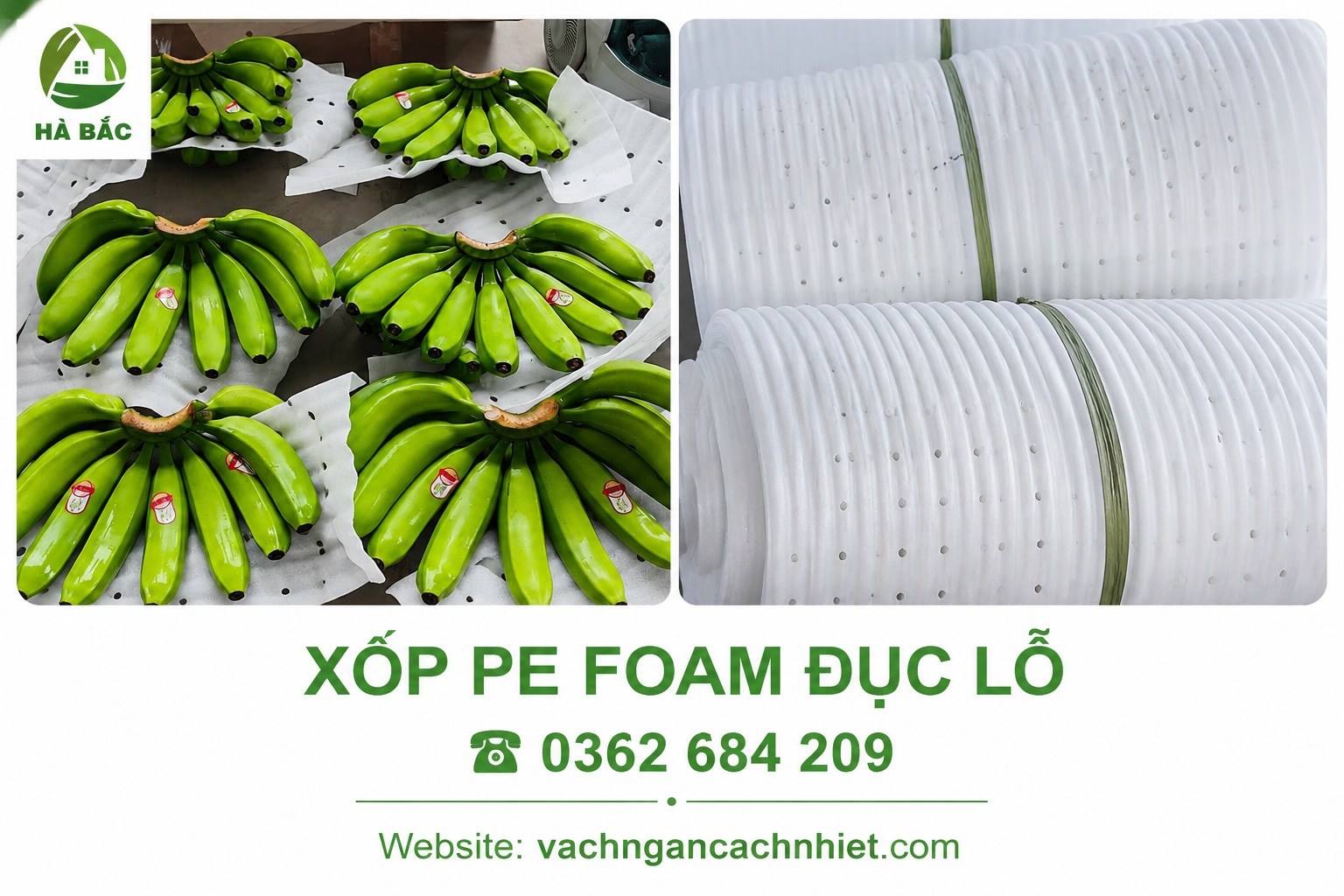 Màng PE Foam đục lỗ