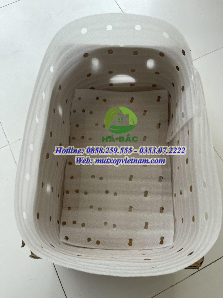 tấm xốp đục lỗ lót thanh long