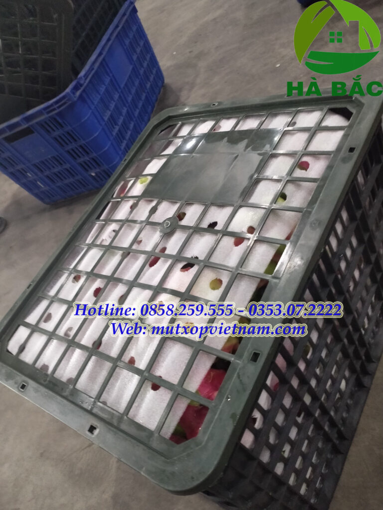 xốp lót thùng thanh long