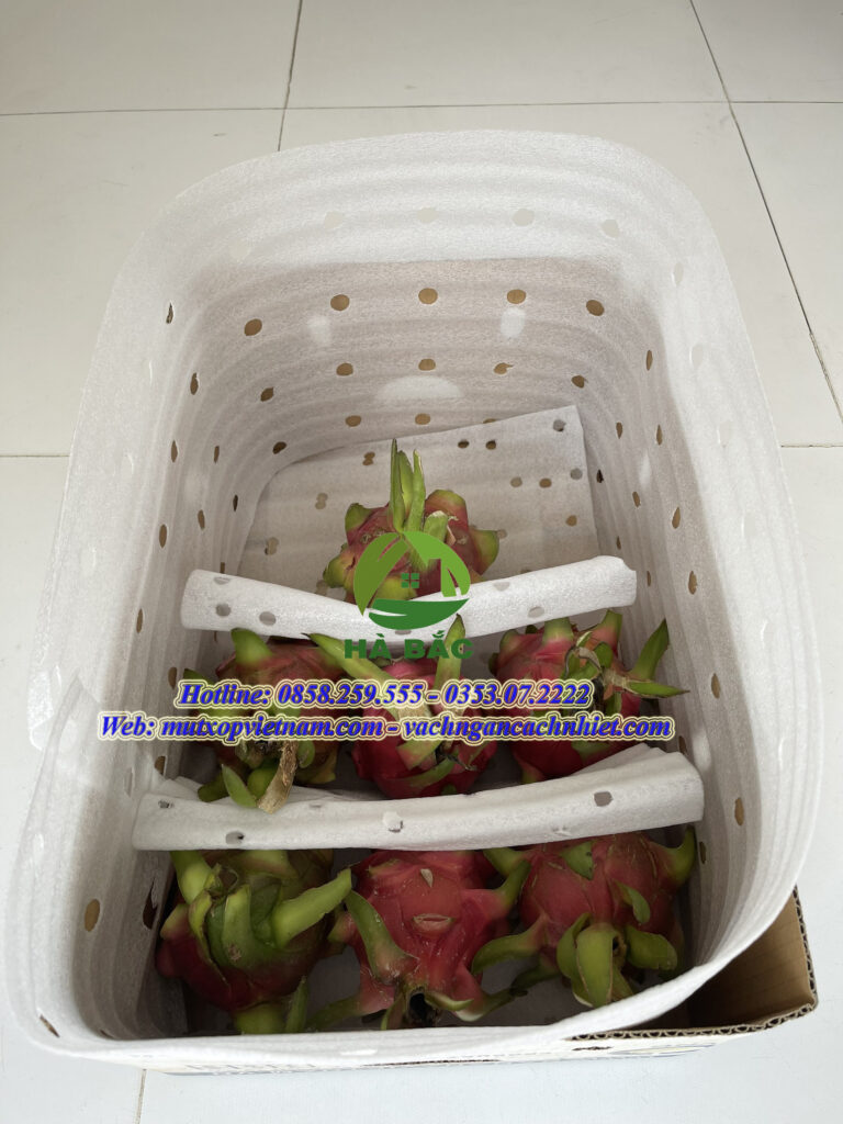 mút xốp lót thanh long