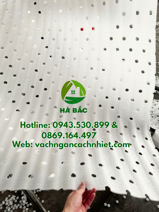 xop-tam-duc-lo-lot-trai-cay