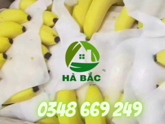 Xop-PE-Foam-duc-lot-chuoi-so-1-tay-nguyen