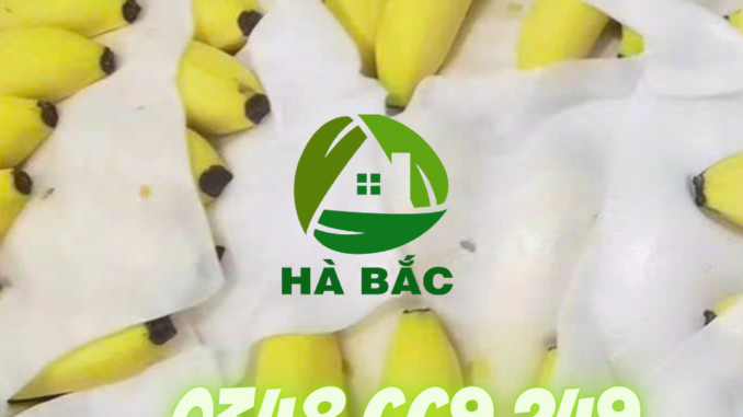 Xop-PE-Foam-duc-lot-chuoi-so-1-tay-nguyen