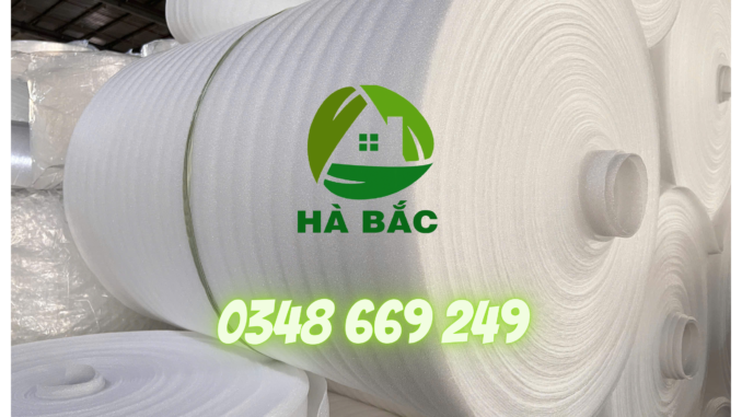 Mut-xop-pe-foam-so-1-binh-dinh