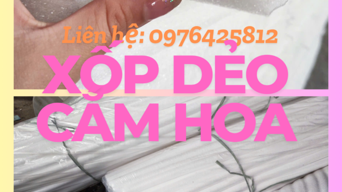 Xop-deo-cam-hoa