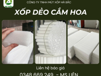 Xop-deo-5cm-cam-hoa