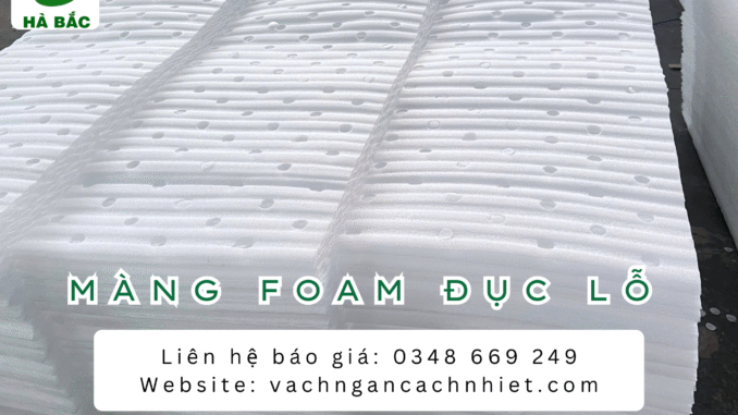 mang-foam-duc-lo