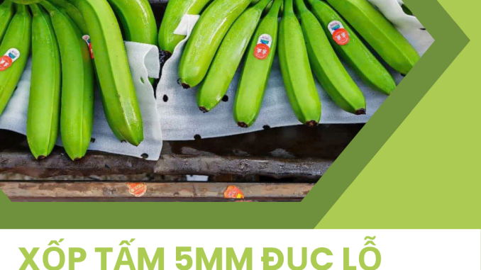 xop-tam-5mm-duc-lo-lot-nong-san