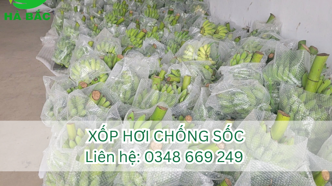 5-li-do-doanh-nghiep-su-dung-xop-chong-soc