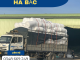 mang-pe-foam-gia-re-nam-2026-tai-binh-dinh