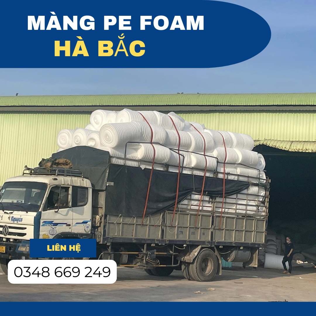 mang-pe-foam-gia-re-nam-2026-tai-binh-dinh