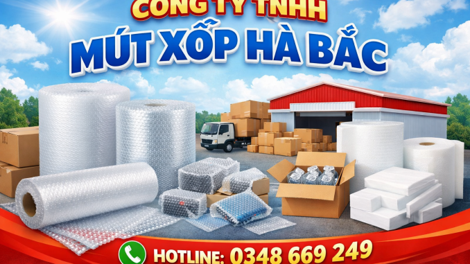 xop-hoi-chong-soc-gia-re-nam-2026