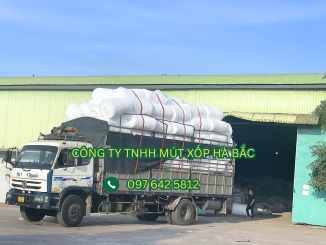 mang-pe-foam-day-du-do-day-tai-binh-dinh