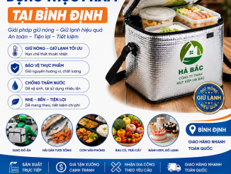 túi đựng bạc cách nhiệt đựng thực phẩm tại Bình Định