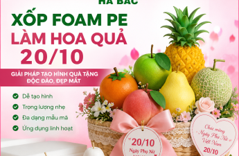 xốp Foam PE làm hoa quả 20/10
