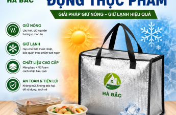 Túi cách nhiệt đựng thực phẩm