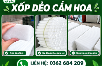 Xốp dẻo cắm hoa